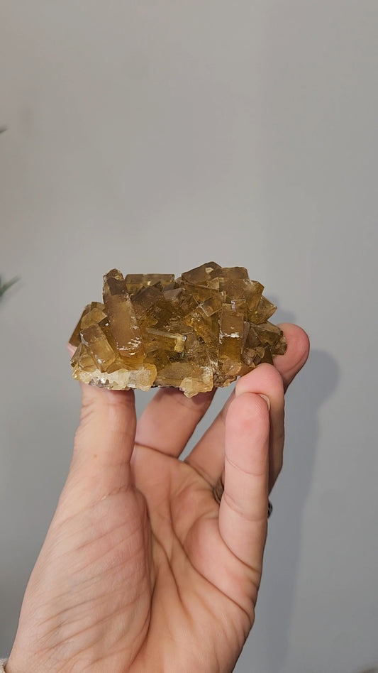 Barite H