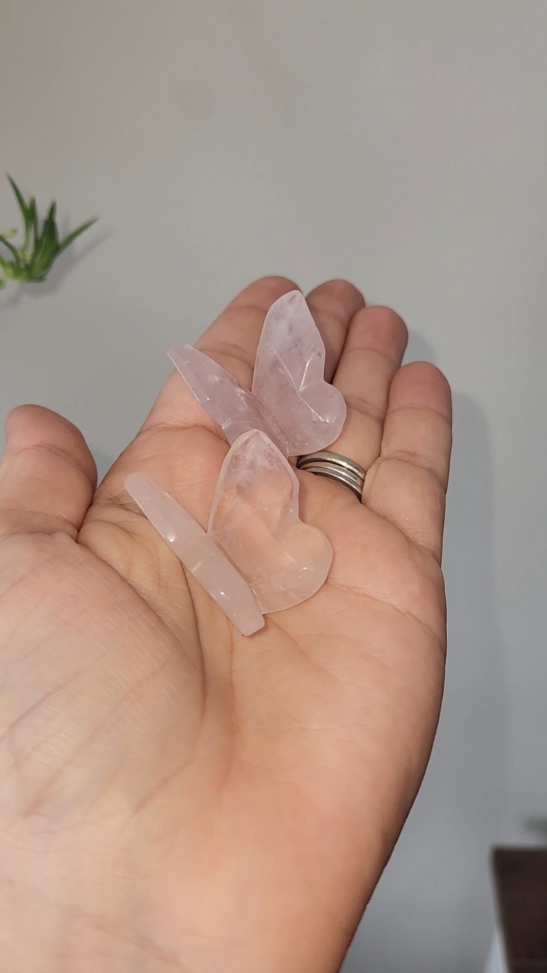 Rose Quartz 3D Butterfly