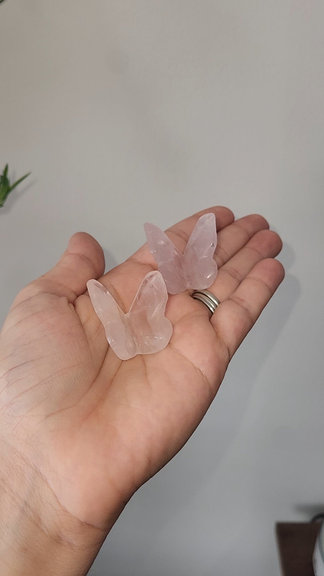Rose Quartz 3D Butterfly