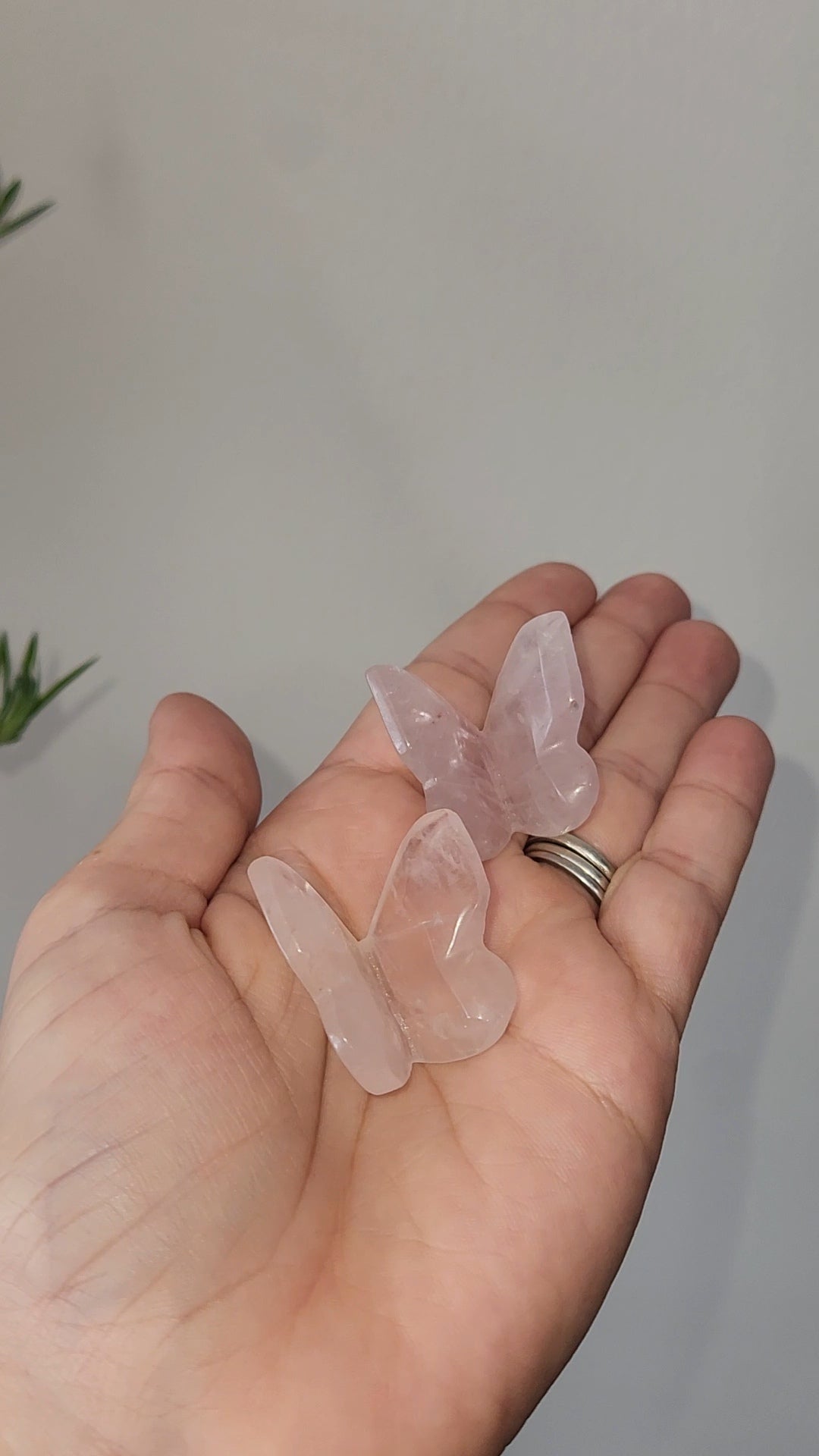 Rose Quartz 3D Butterfly