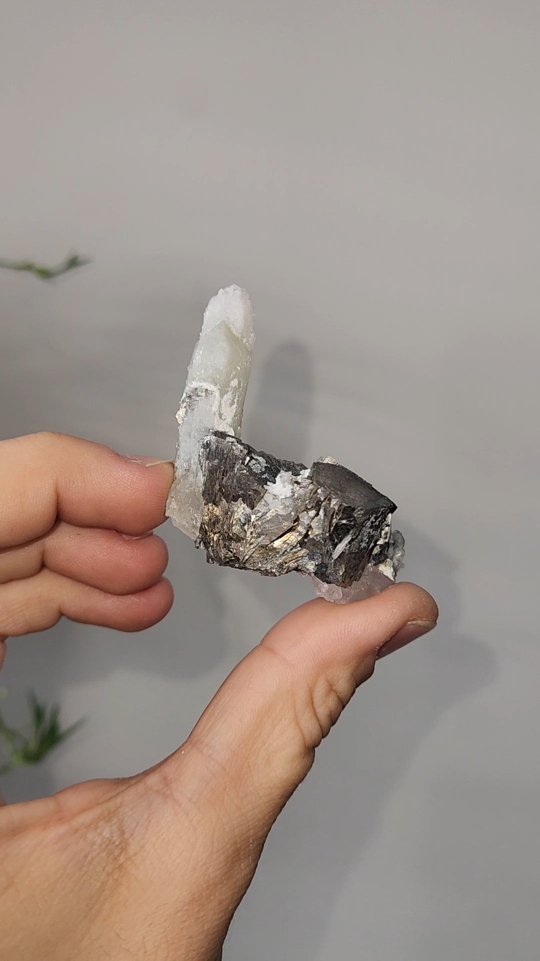 Pyrite & Quartz Specimen