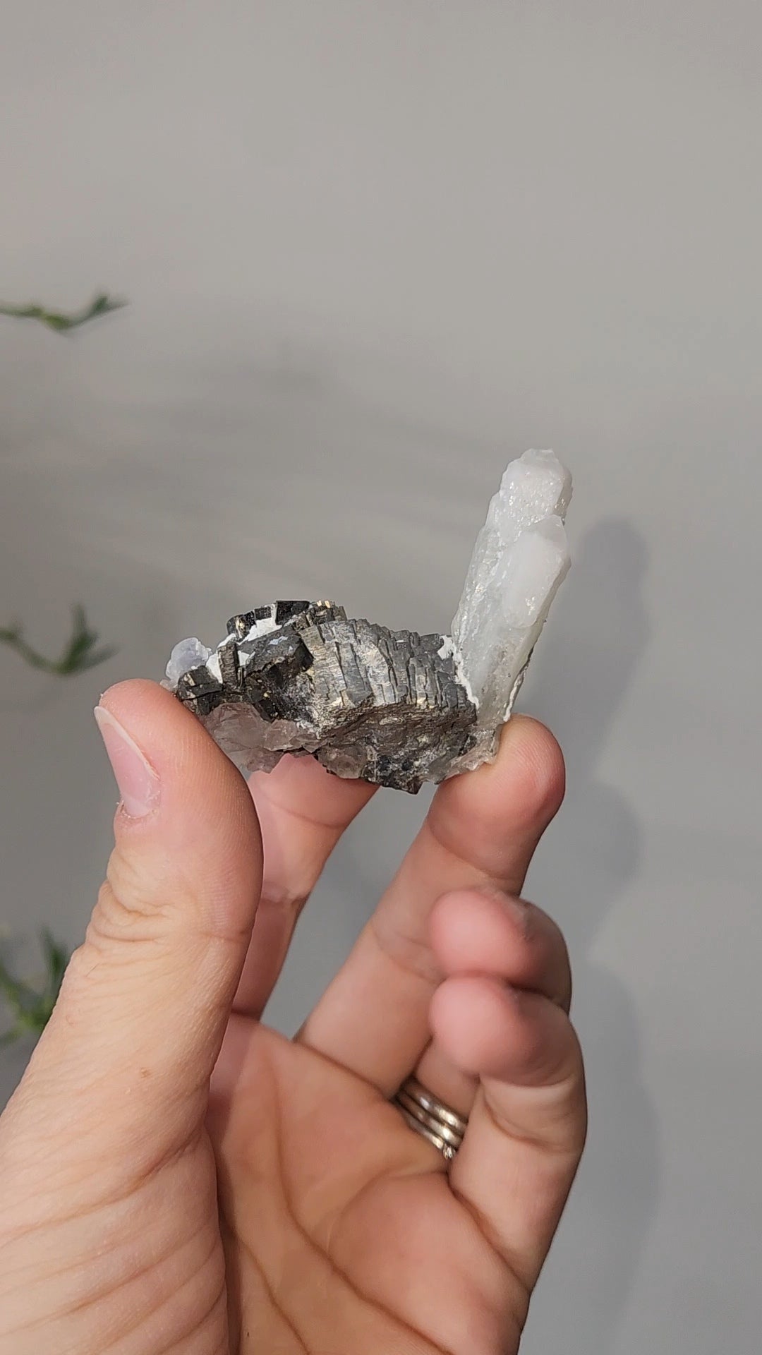 Pyrite & Quartz Specimen
