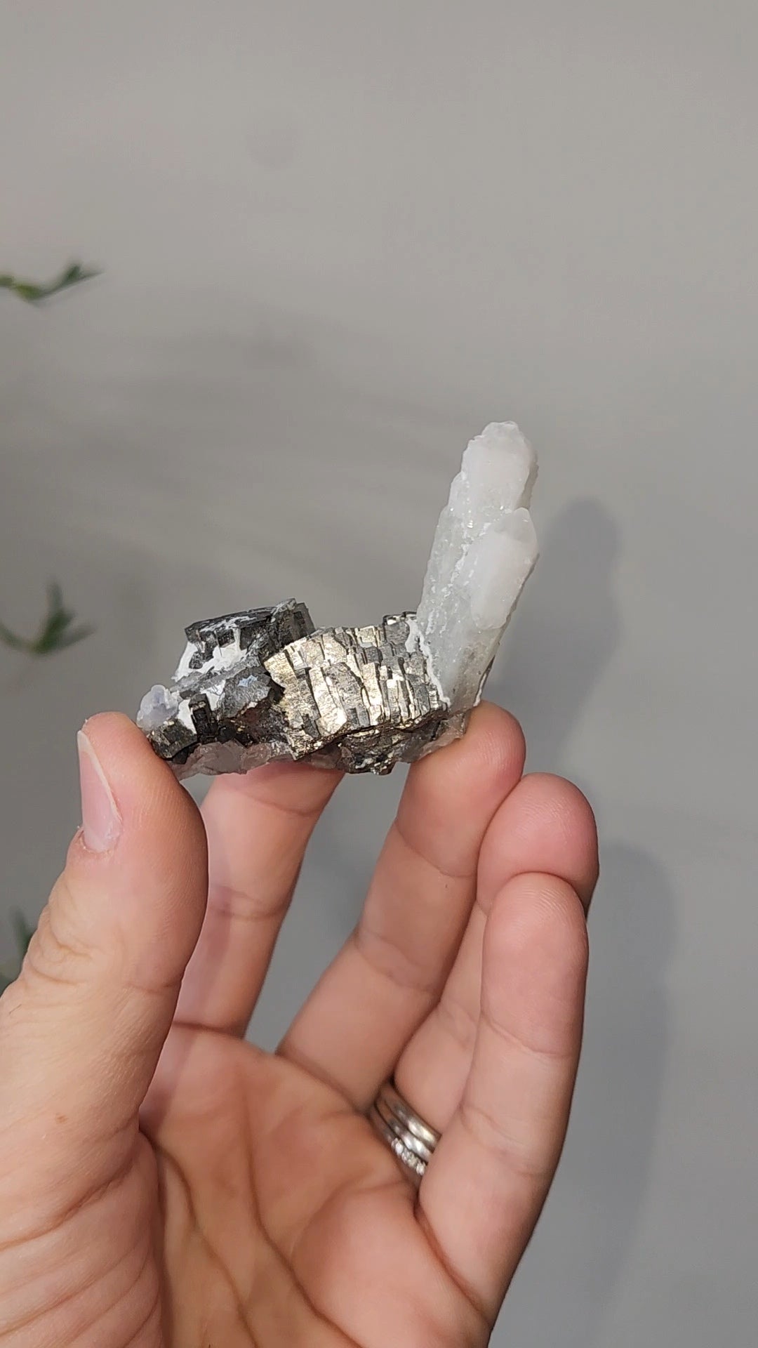 Pyrite & Quartz Specimen