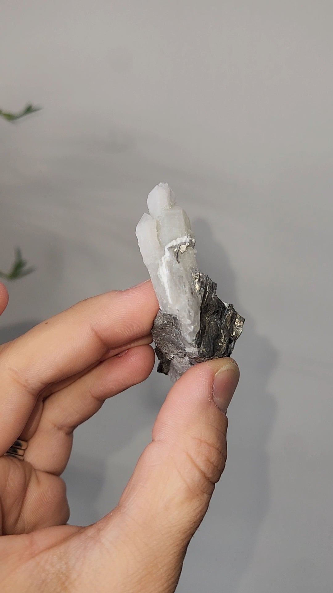 Pyrite & Quartz Specimen