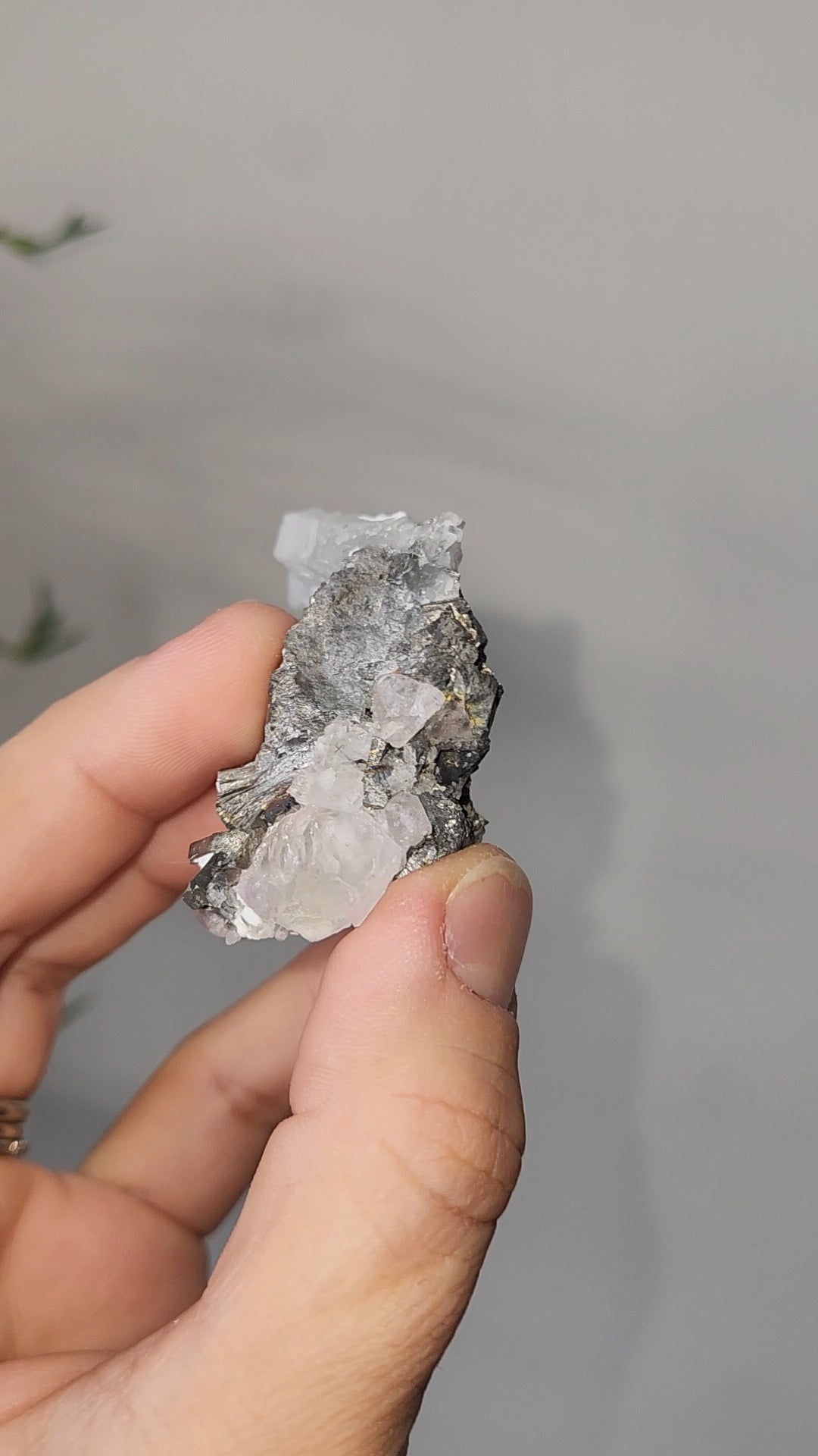 Pyrite & Quartz Specimen