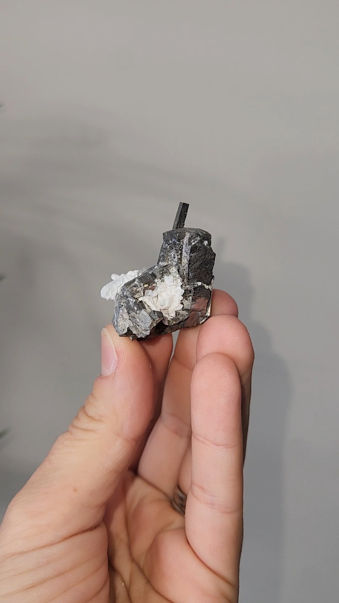 Pyrite & Quartz Specimen