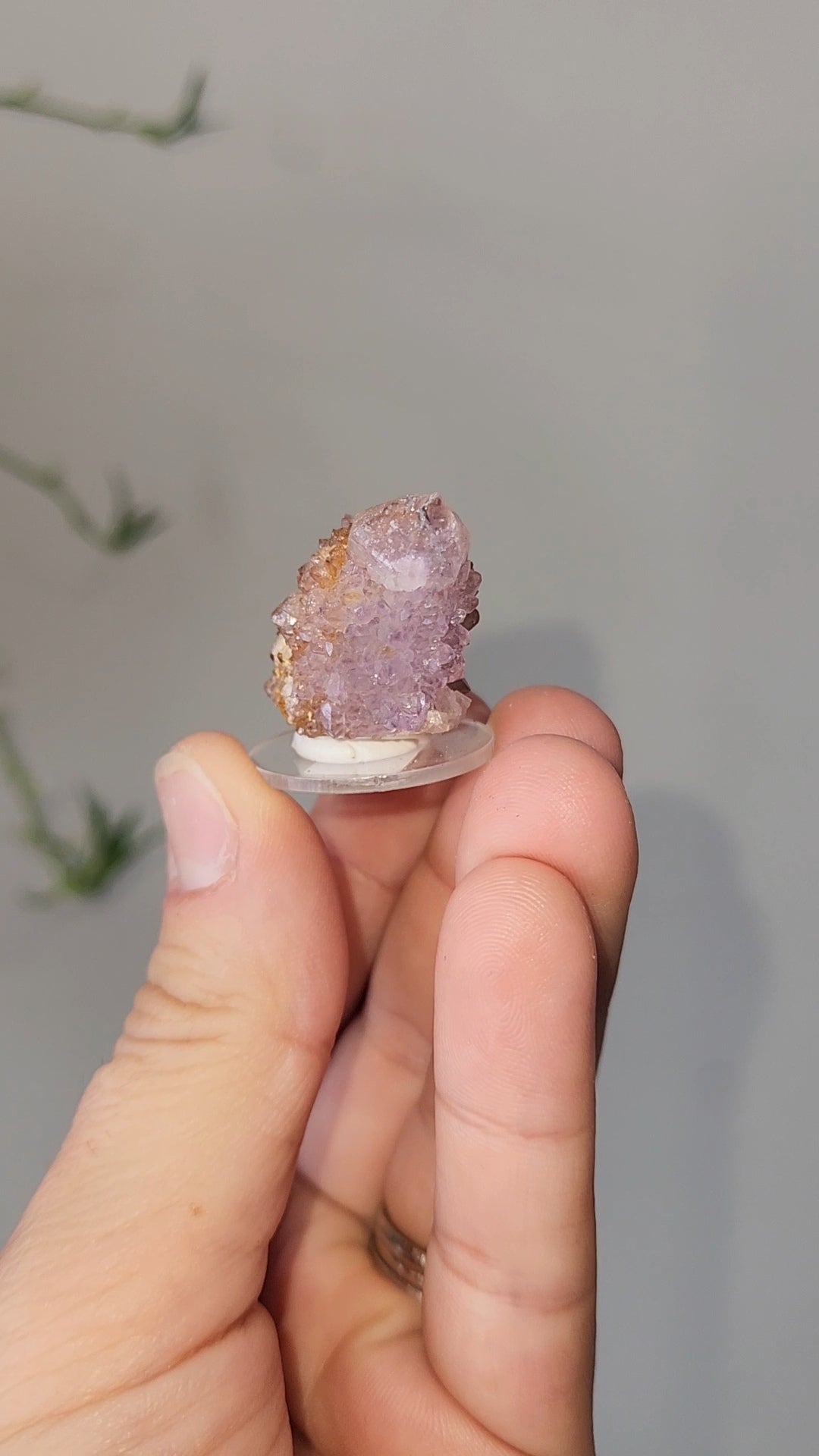 Spirit Quartz