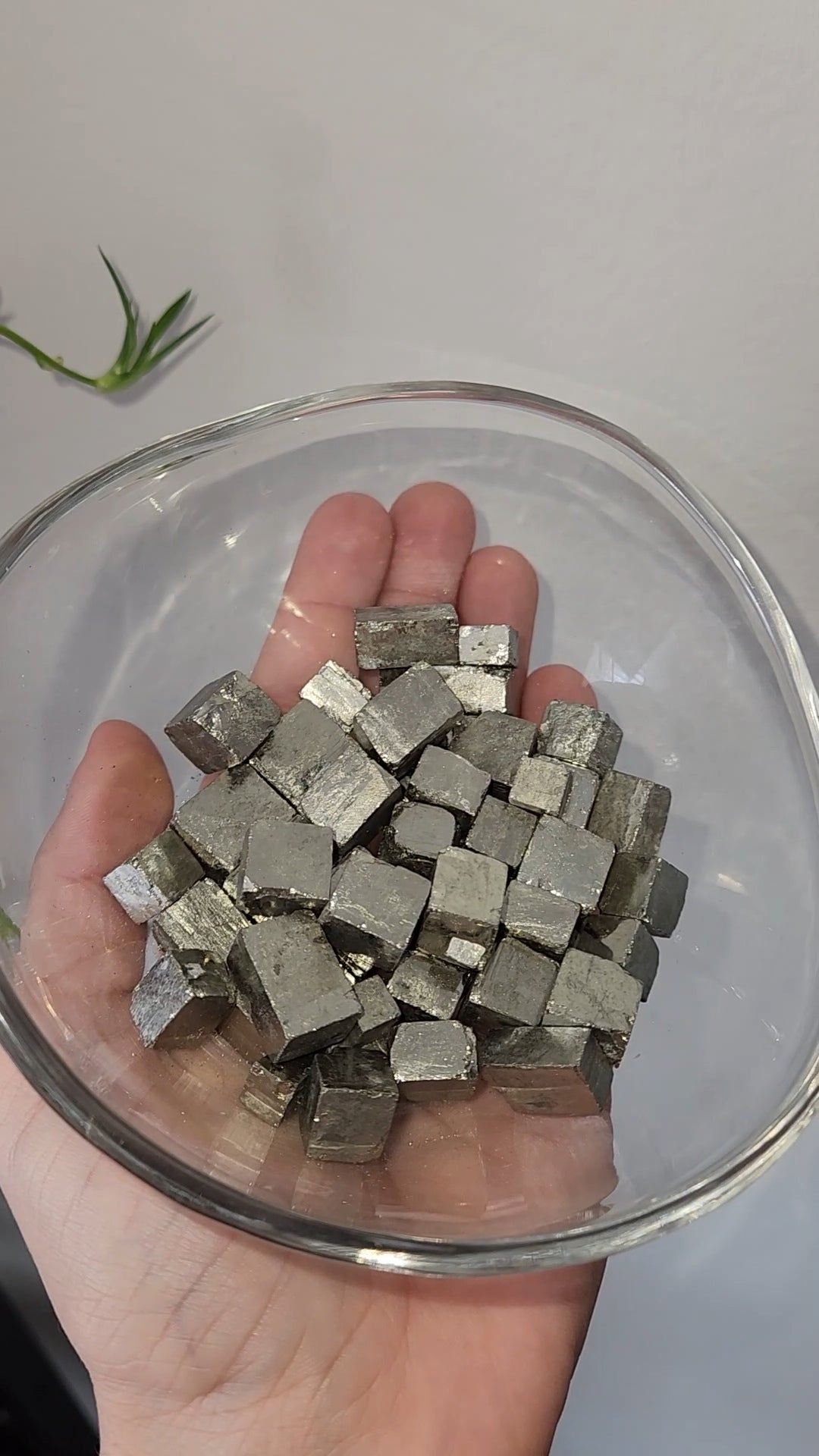 Pyrite Mini Cubes