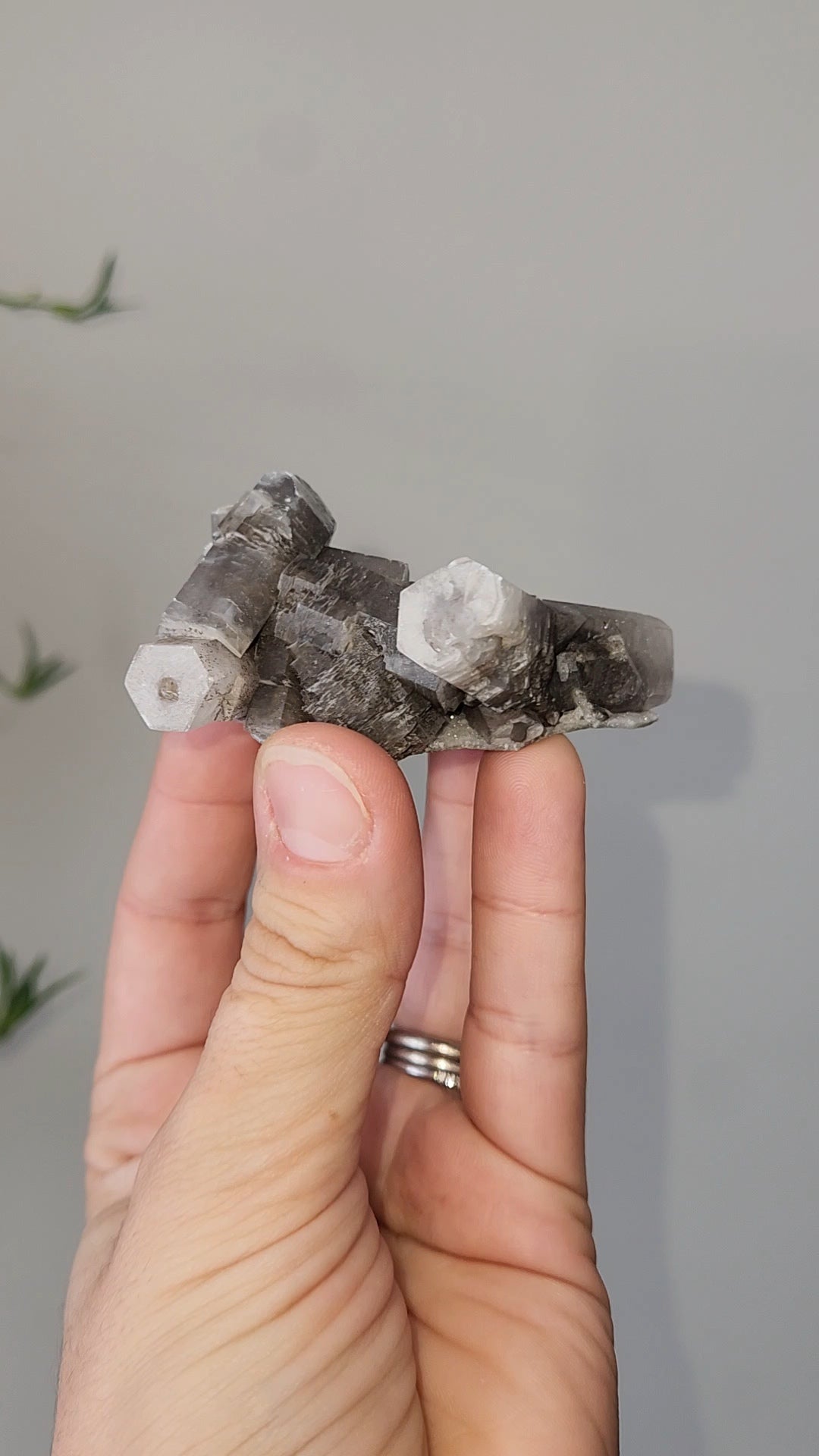 Panda Calcite E