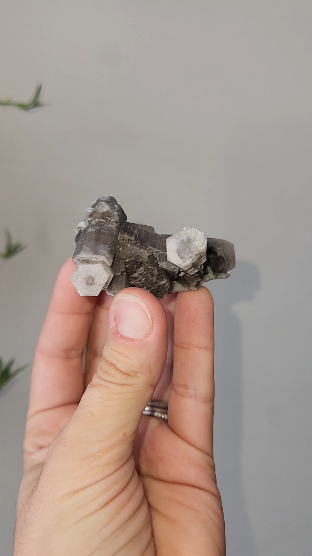 Panda Calcite E
