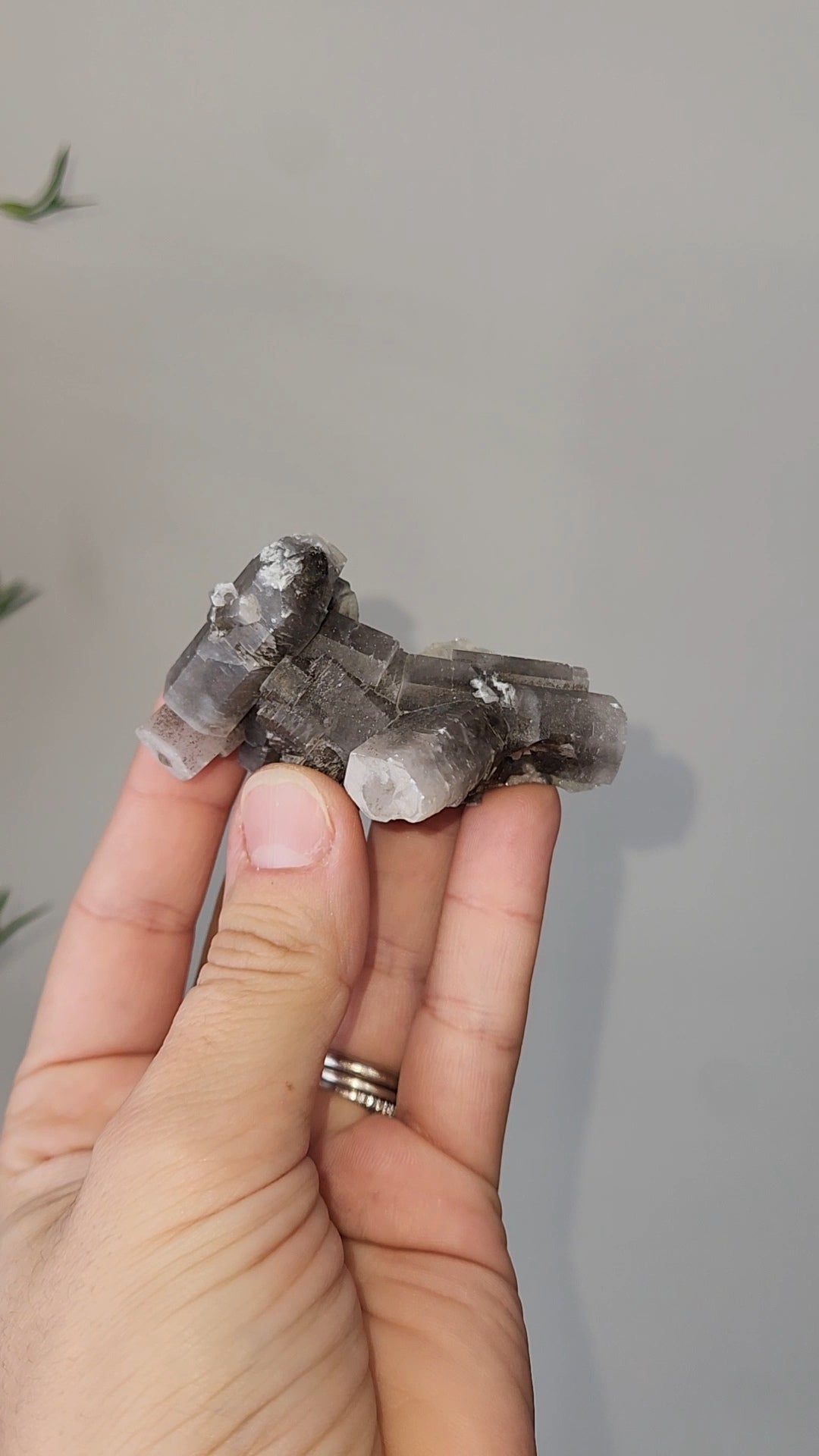 Panda Calcite E