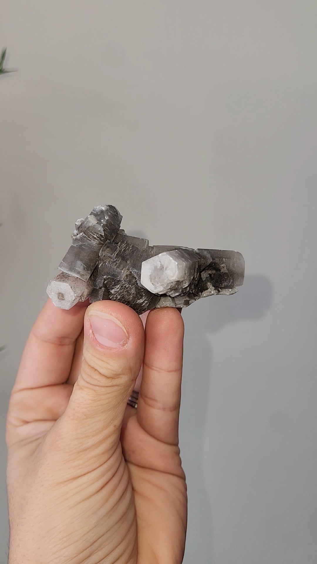 Panda Calcite E