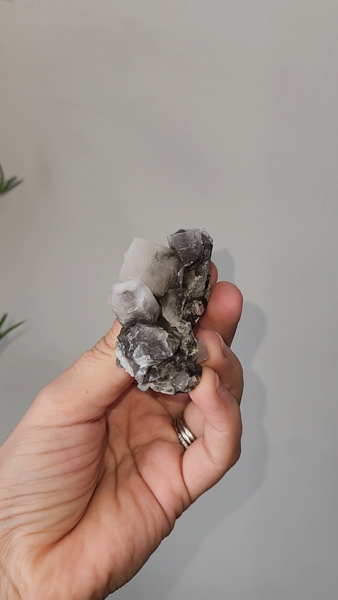 Panda Calcite D