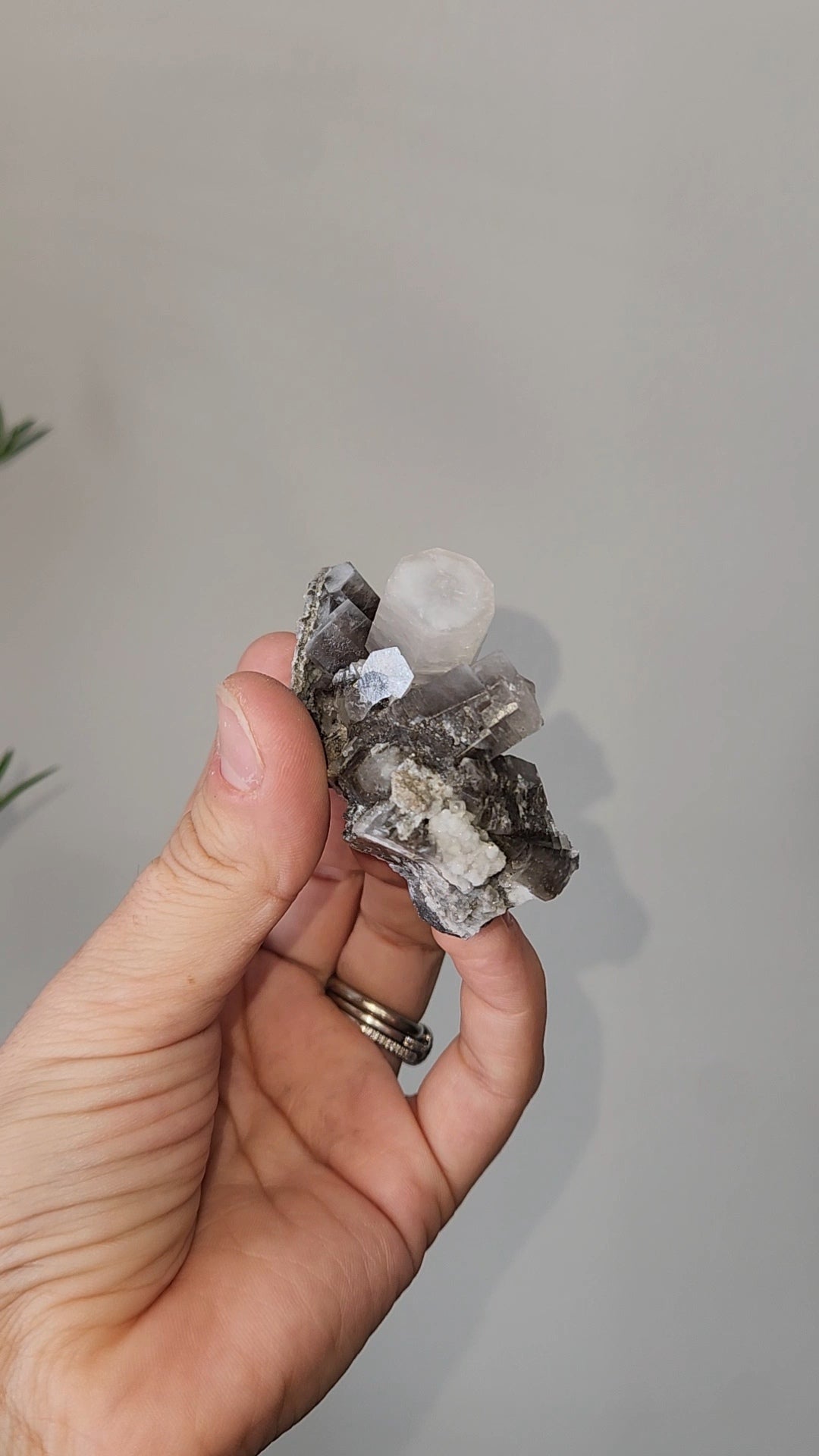 Panda Calcite D