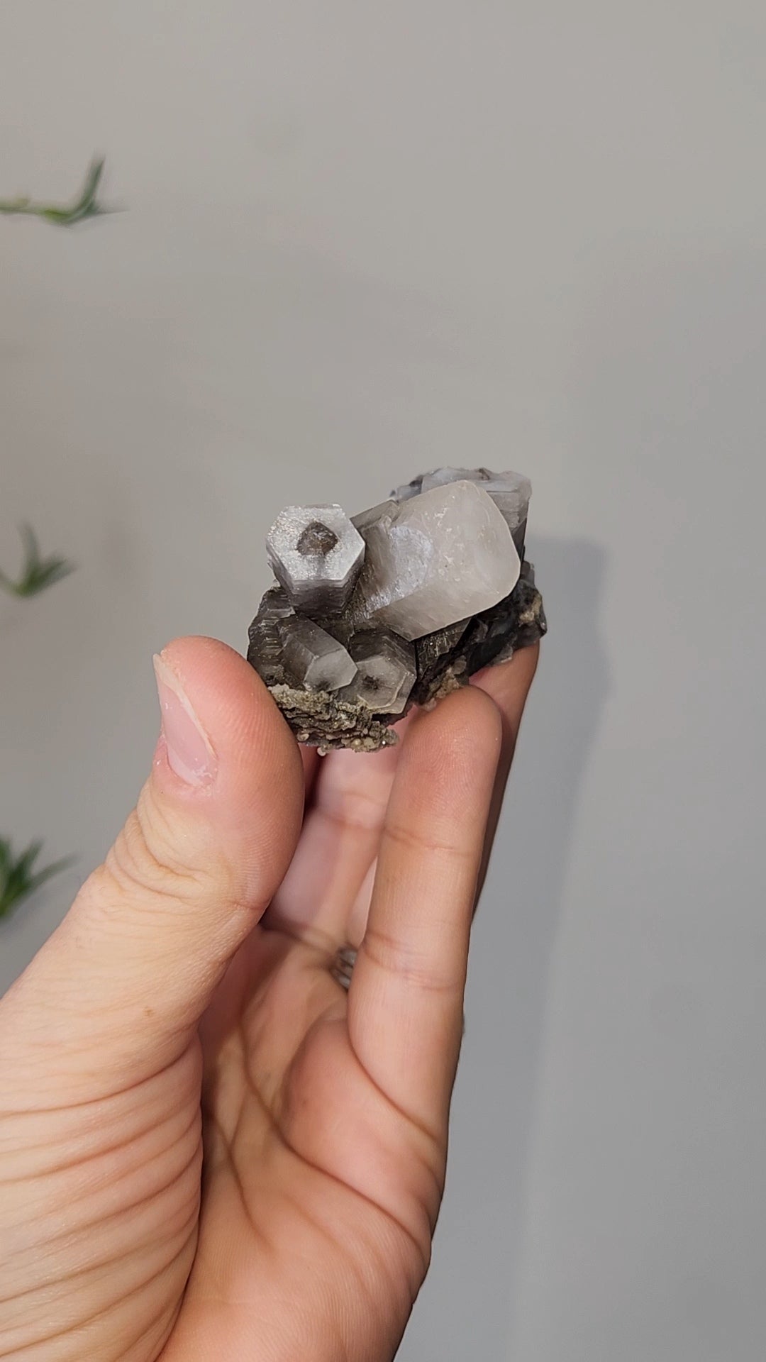 Panda Calcite D
