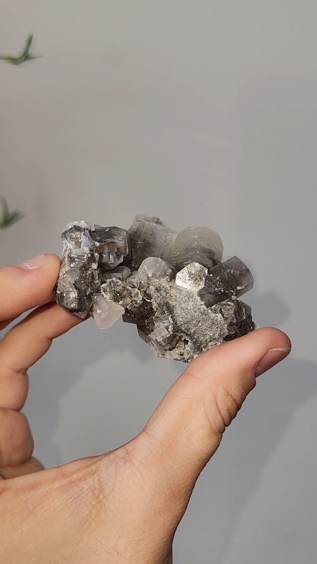 Panda Calcite D