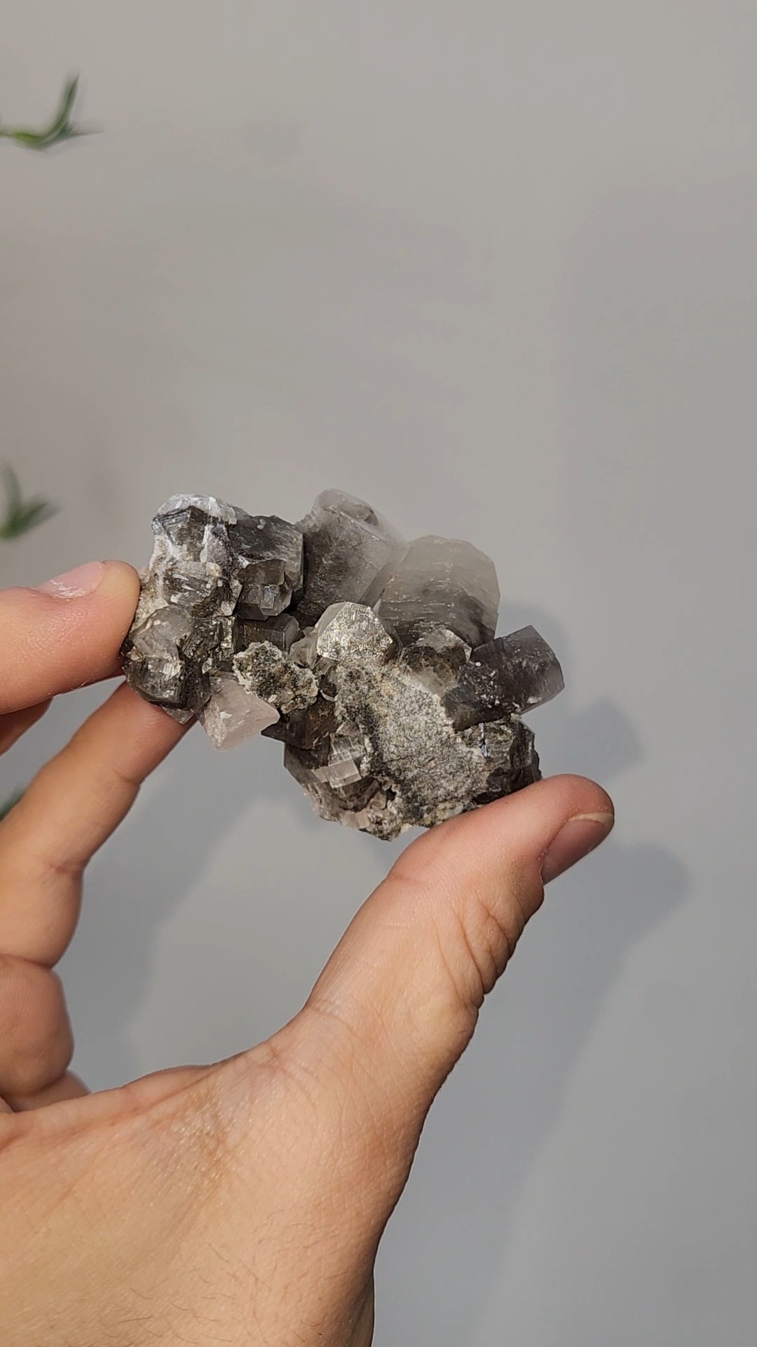 Panda Calcite D