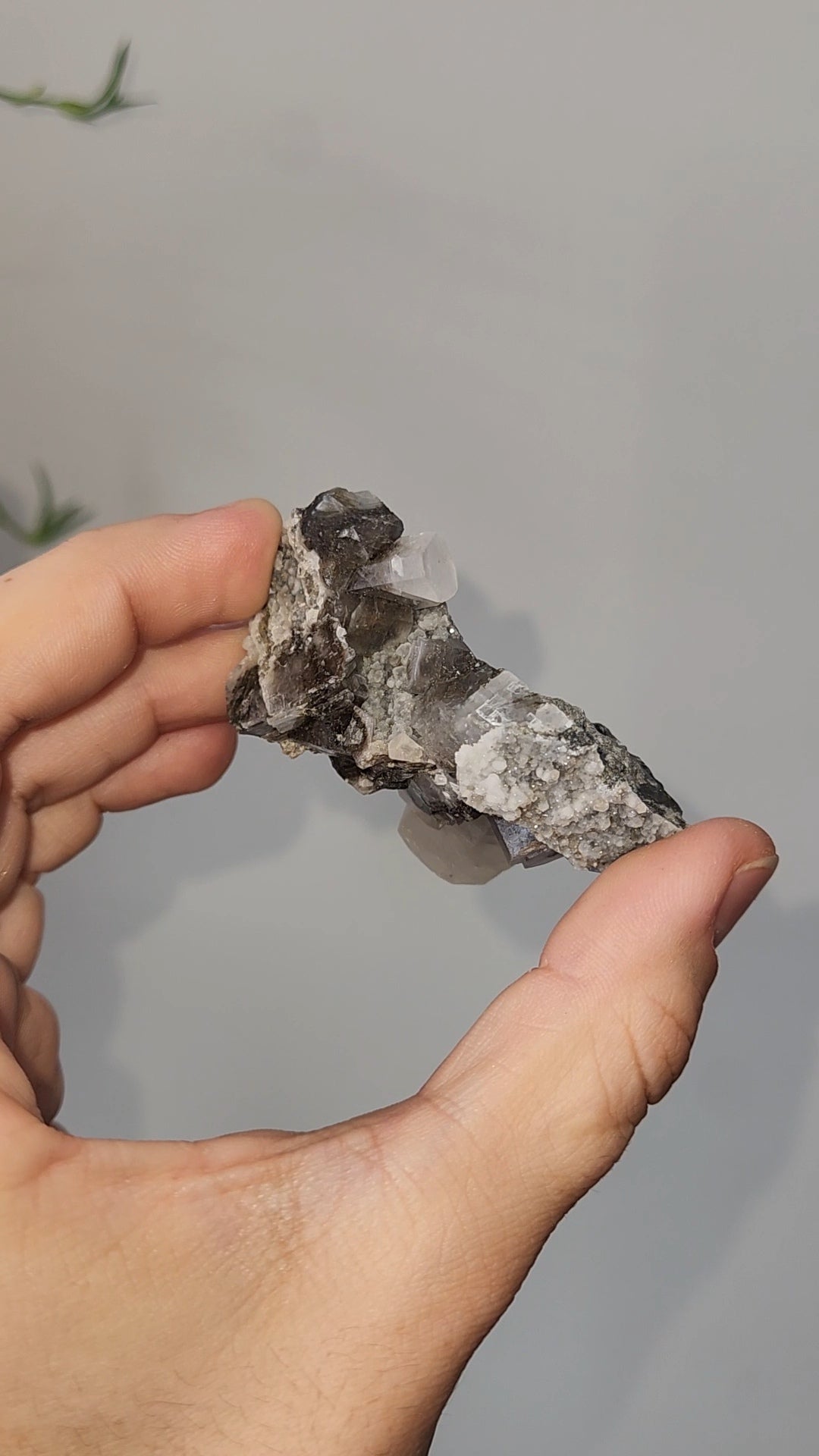 Panda Calcite D