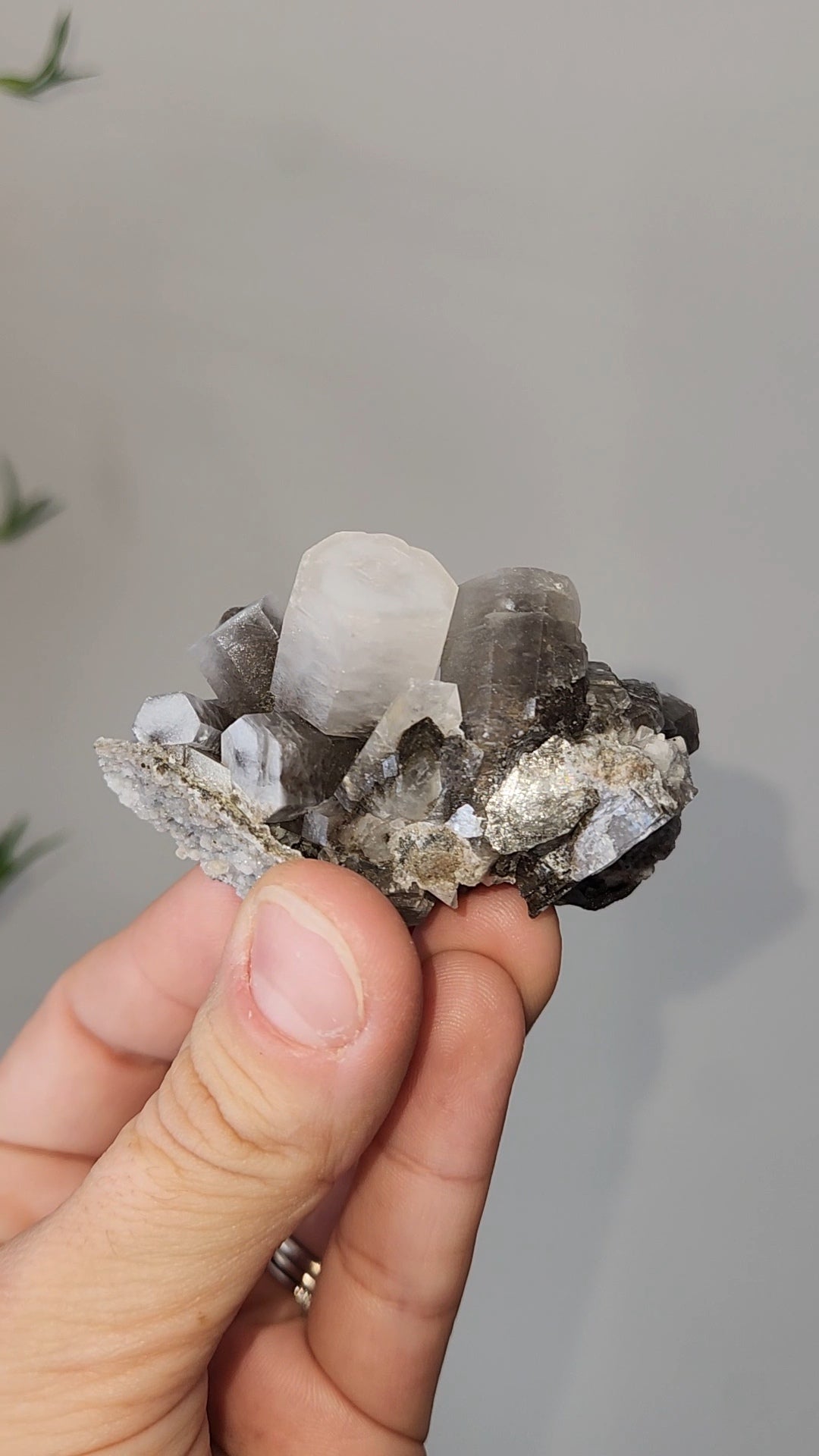Panda Calcite D