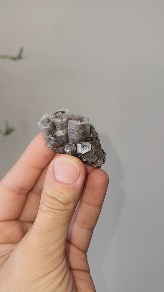 Panda Calcite C