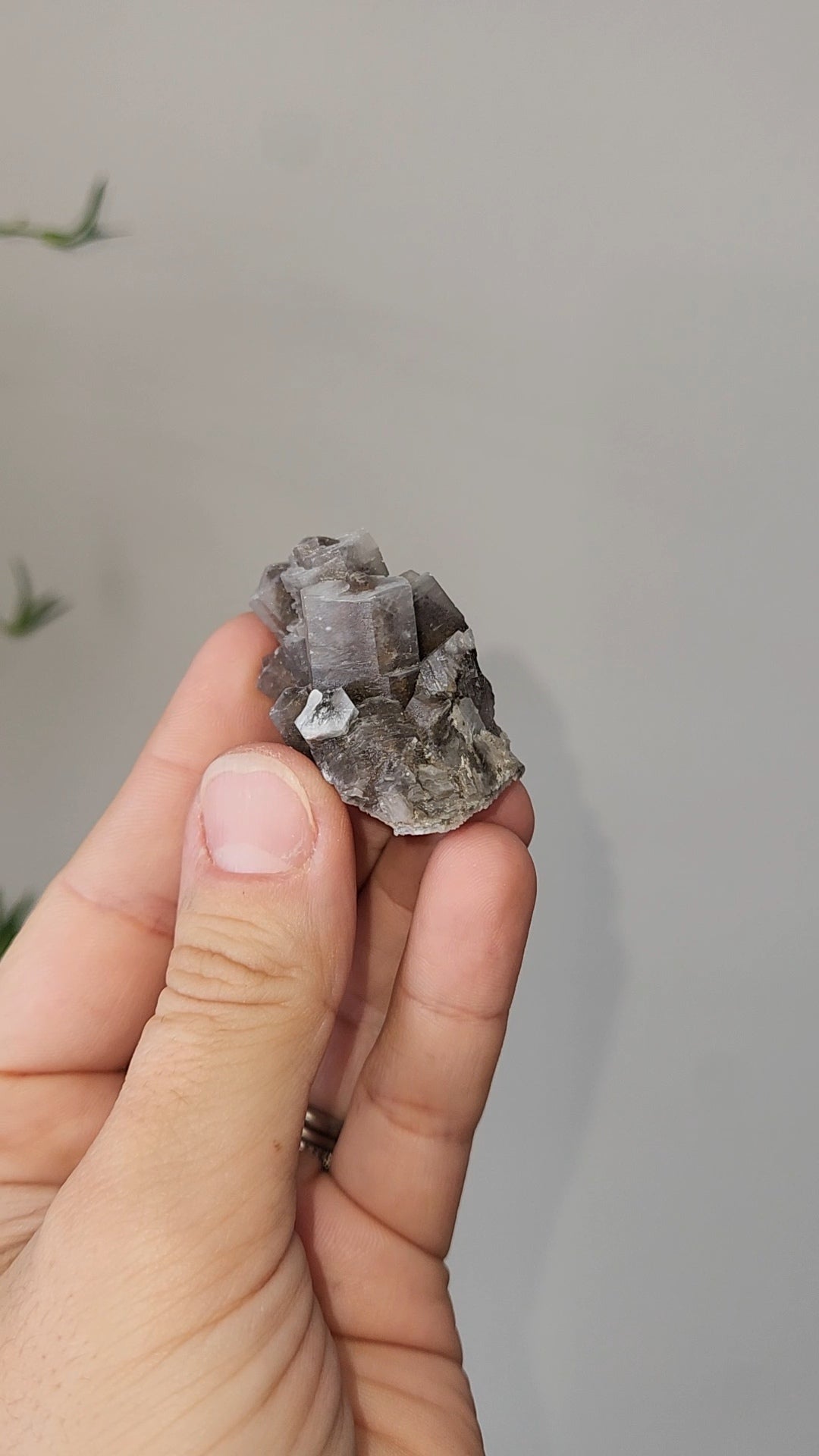 Panda Calcite C