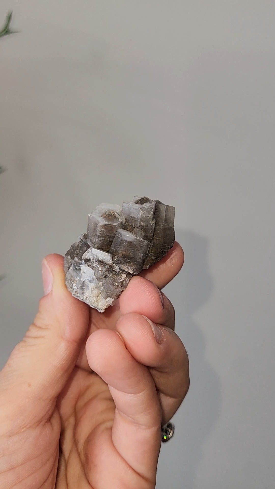 Panda Calcite C