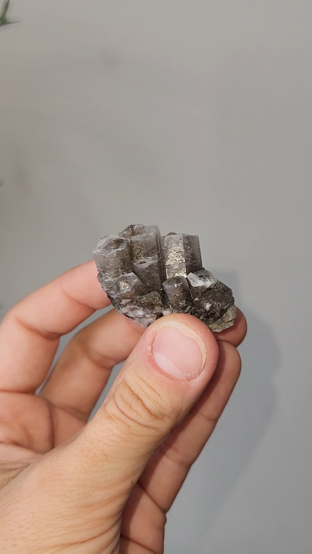 Panda Calcite C