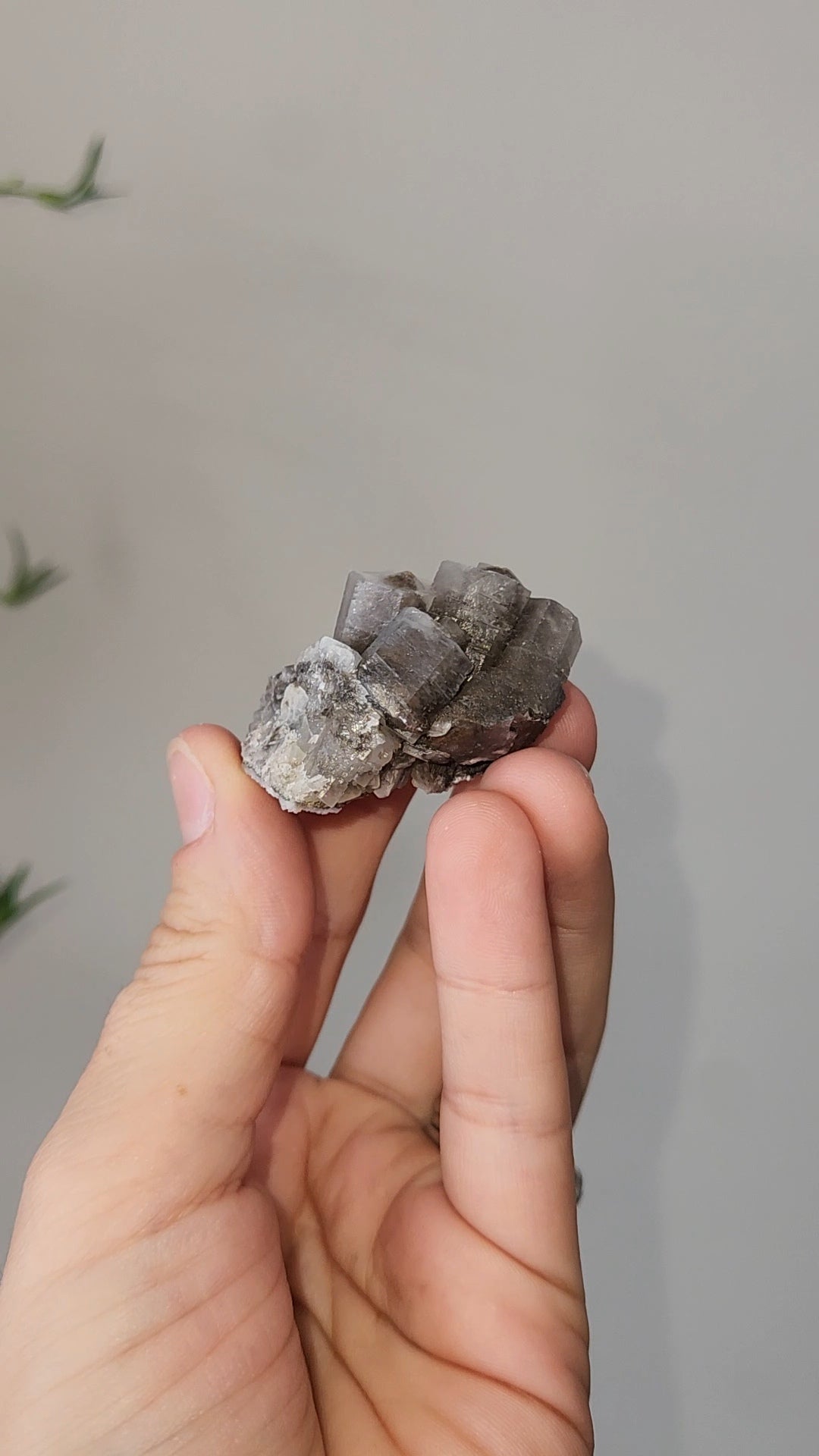 Panda Calcite C
