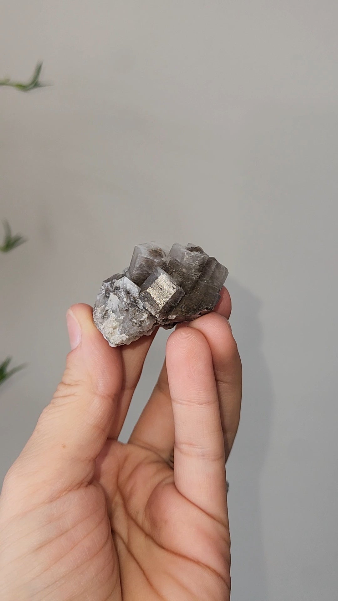 Panda Calcite C