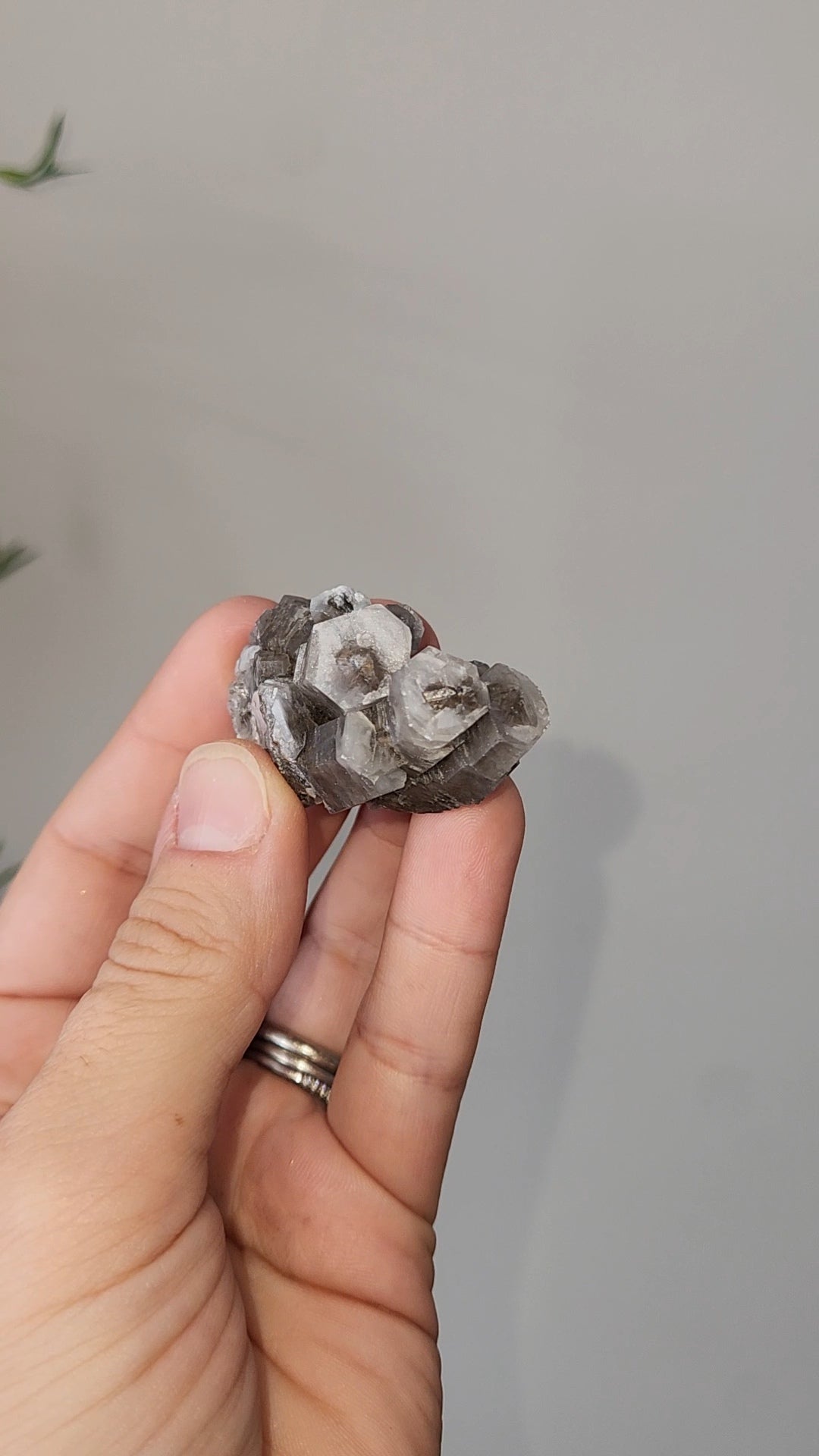 Panda Calcite C
