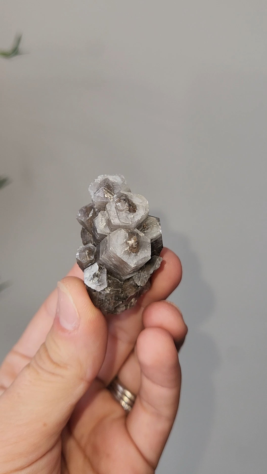 Panda Calcite C
