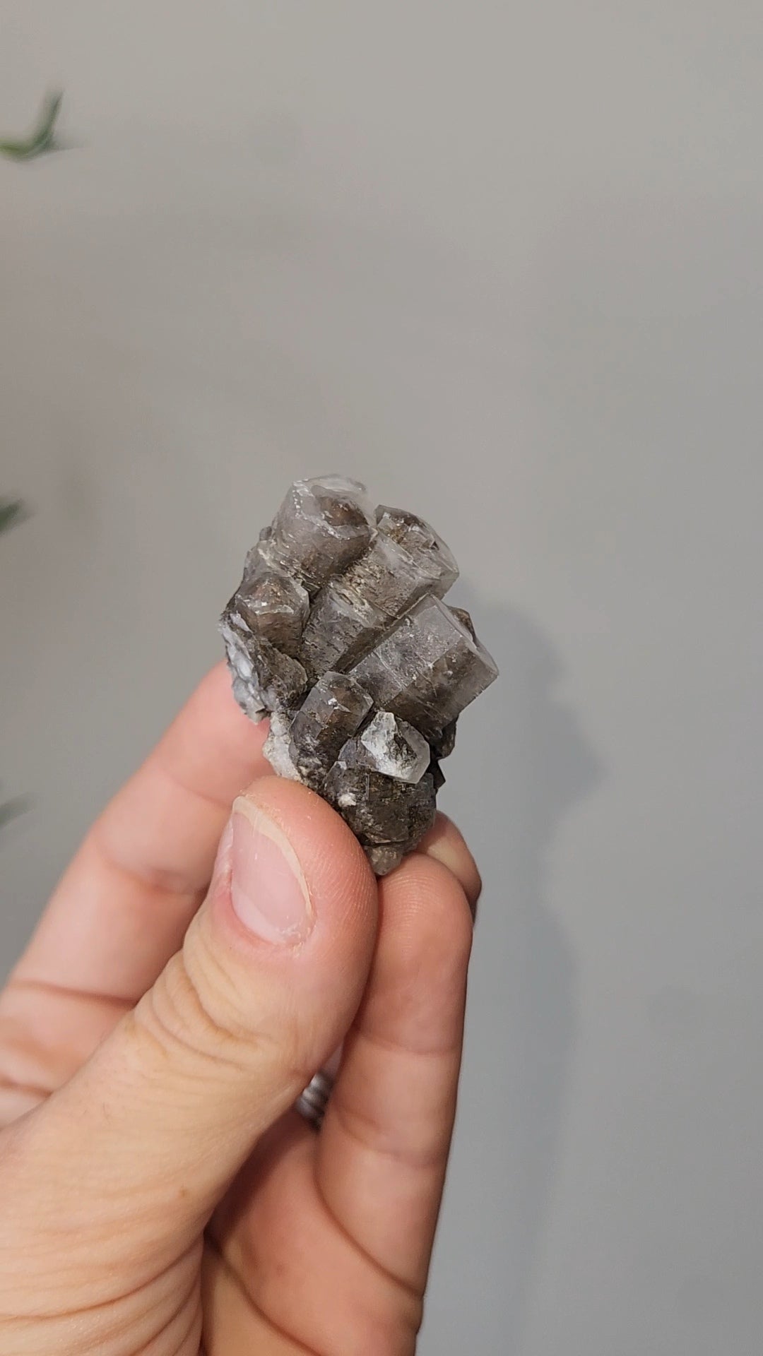 Panda Calcite C