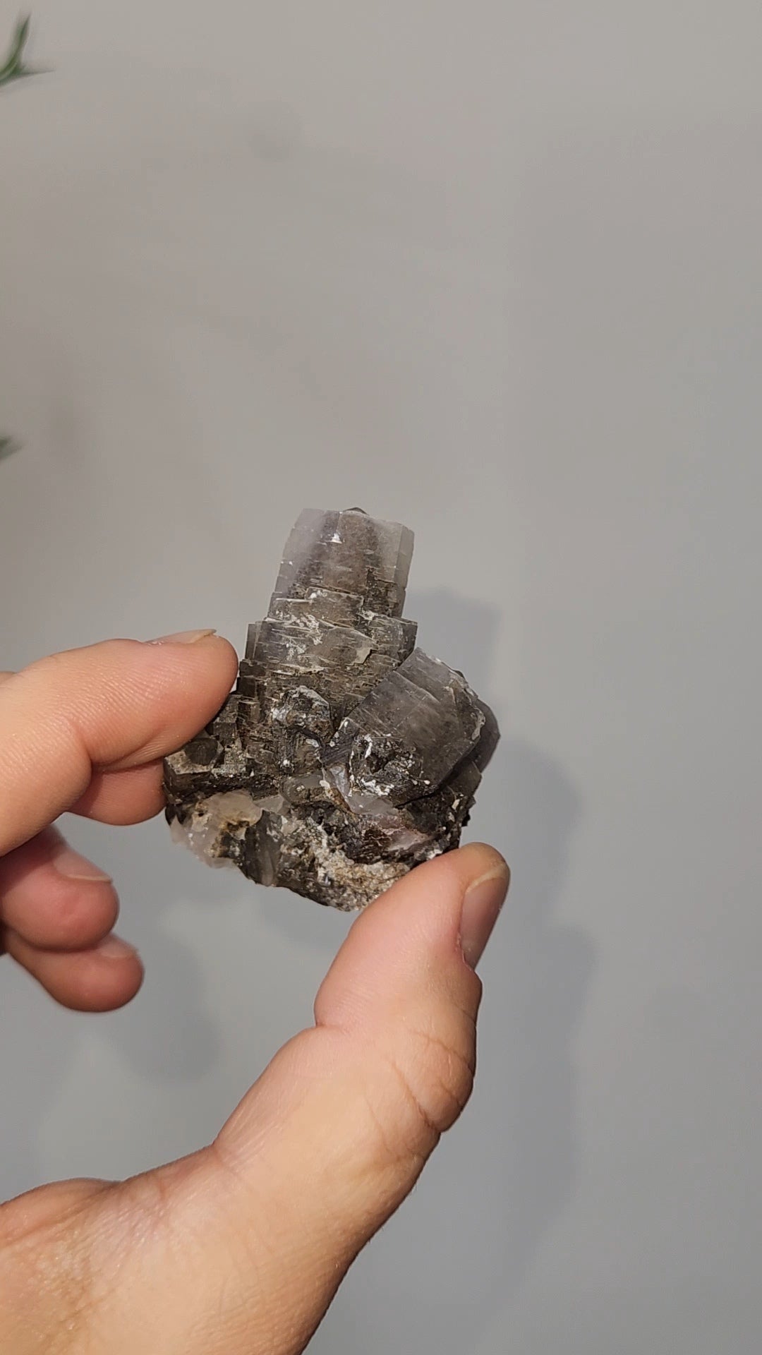 Panda Calcite B