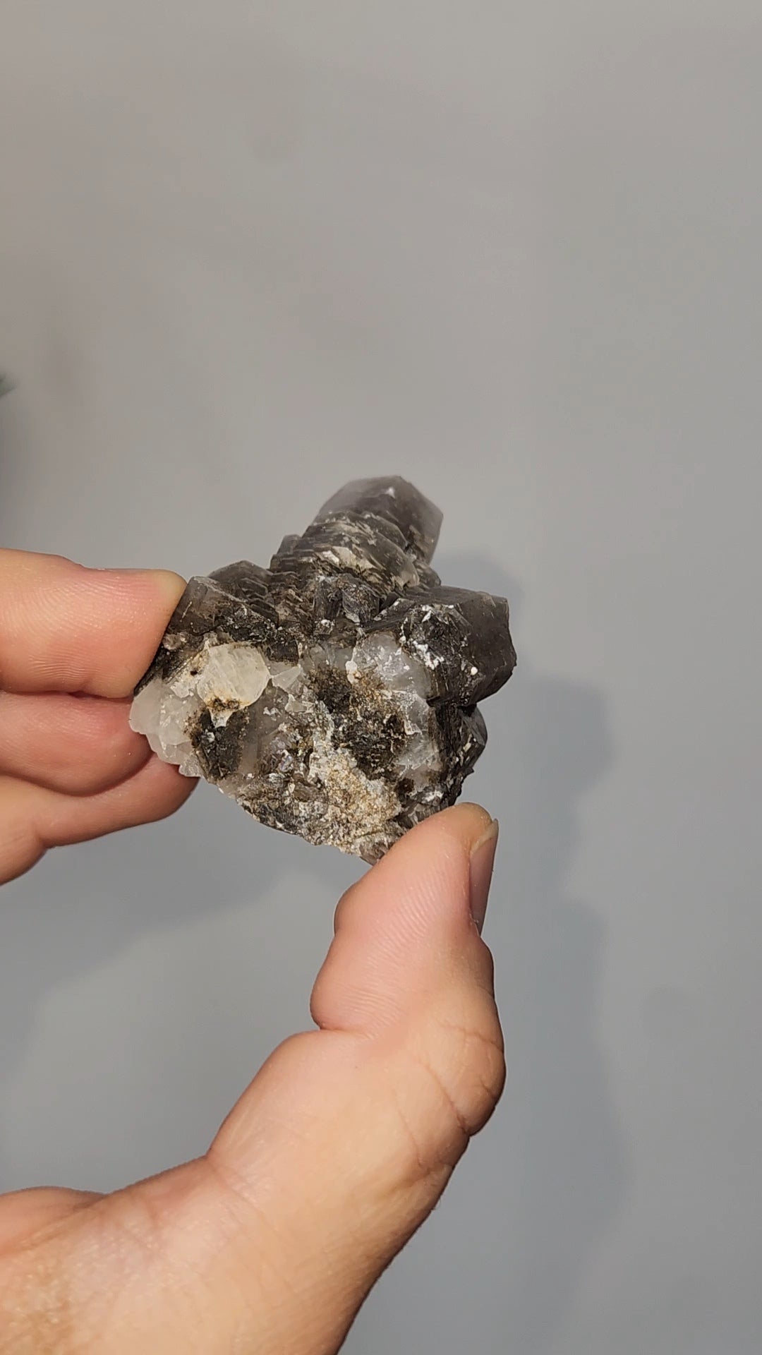 Panda Calcite B