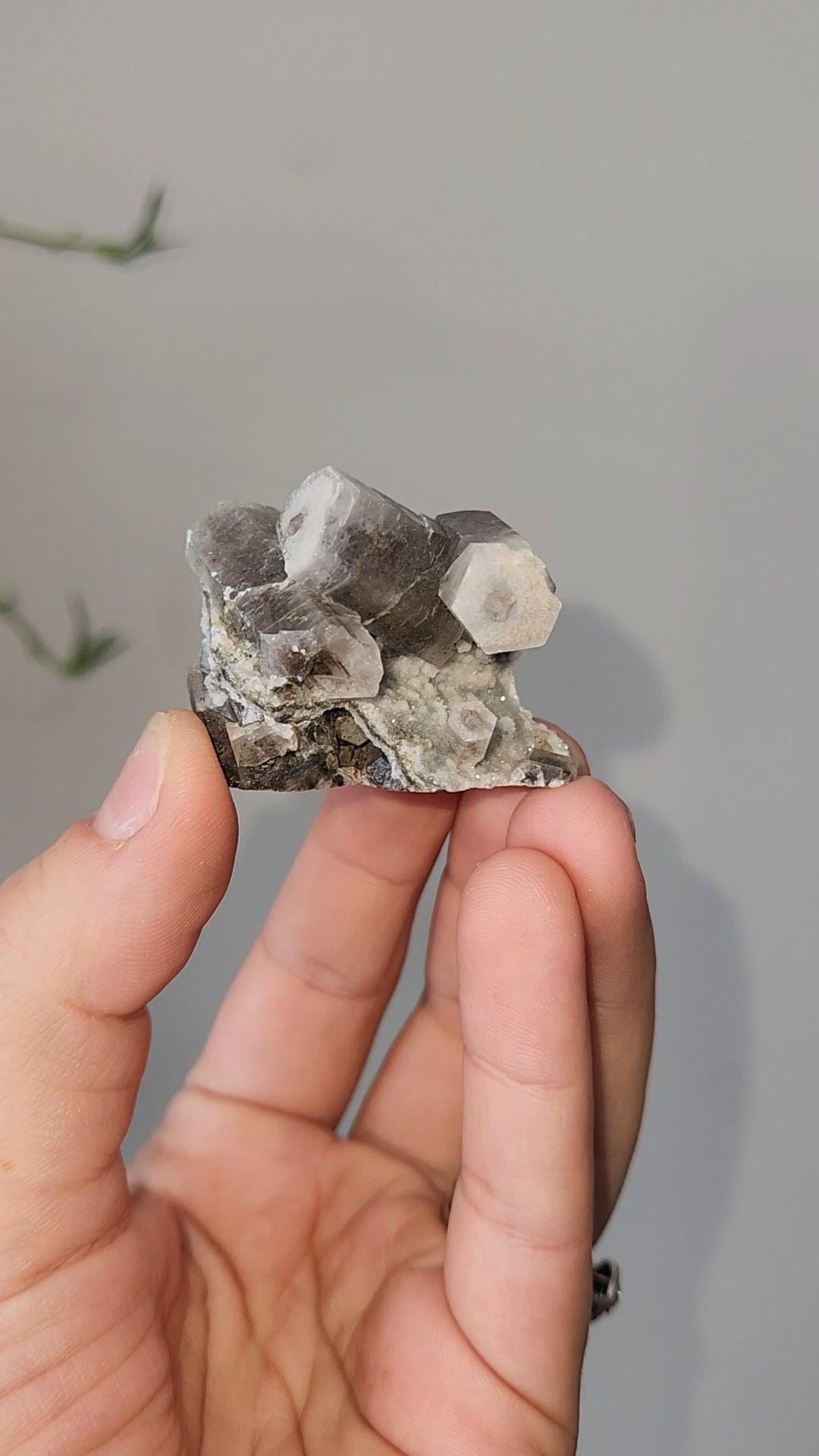Panda Calcite A