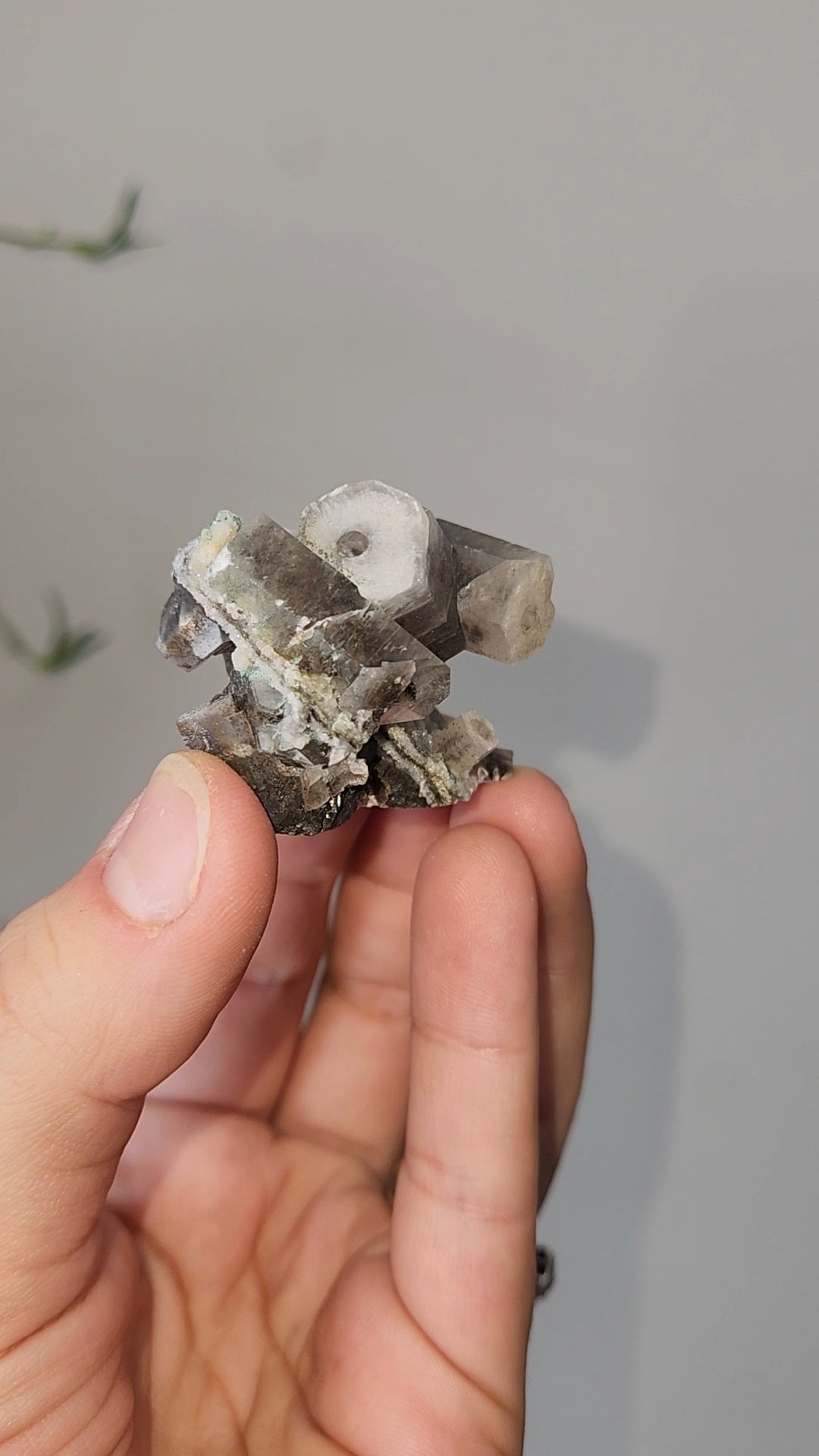 Panda Calcite A