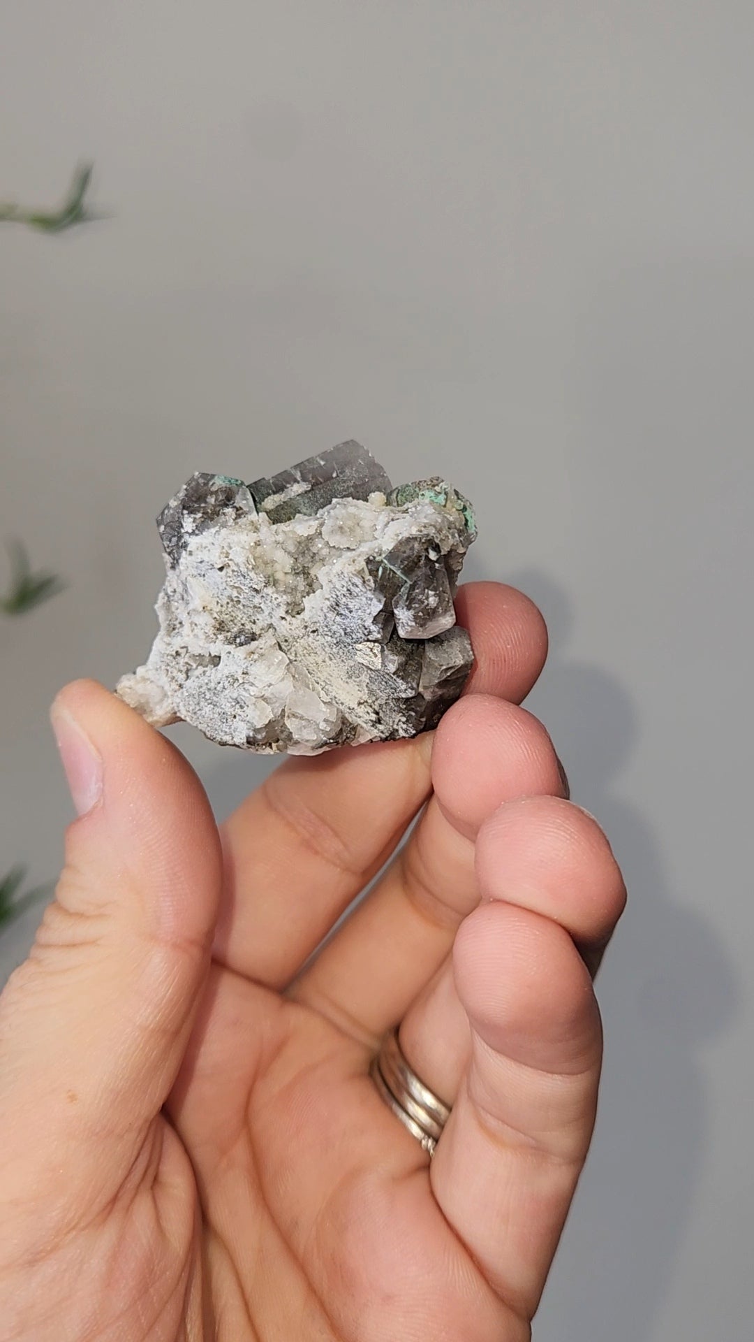Panda Calcite A