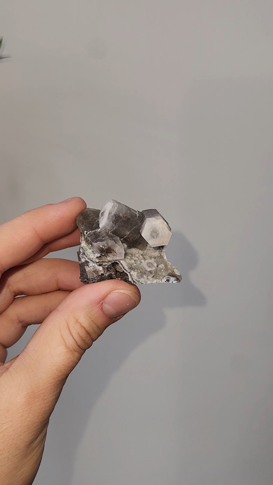 Panda Calcite A