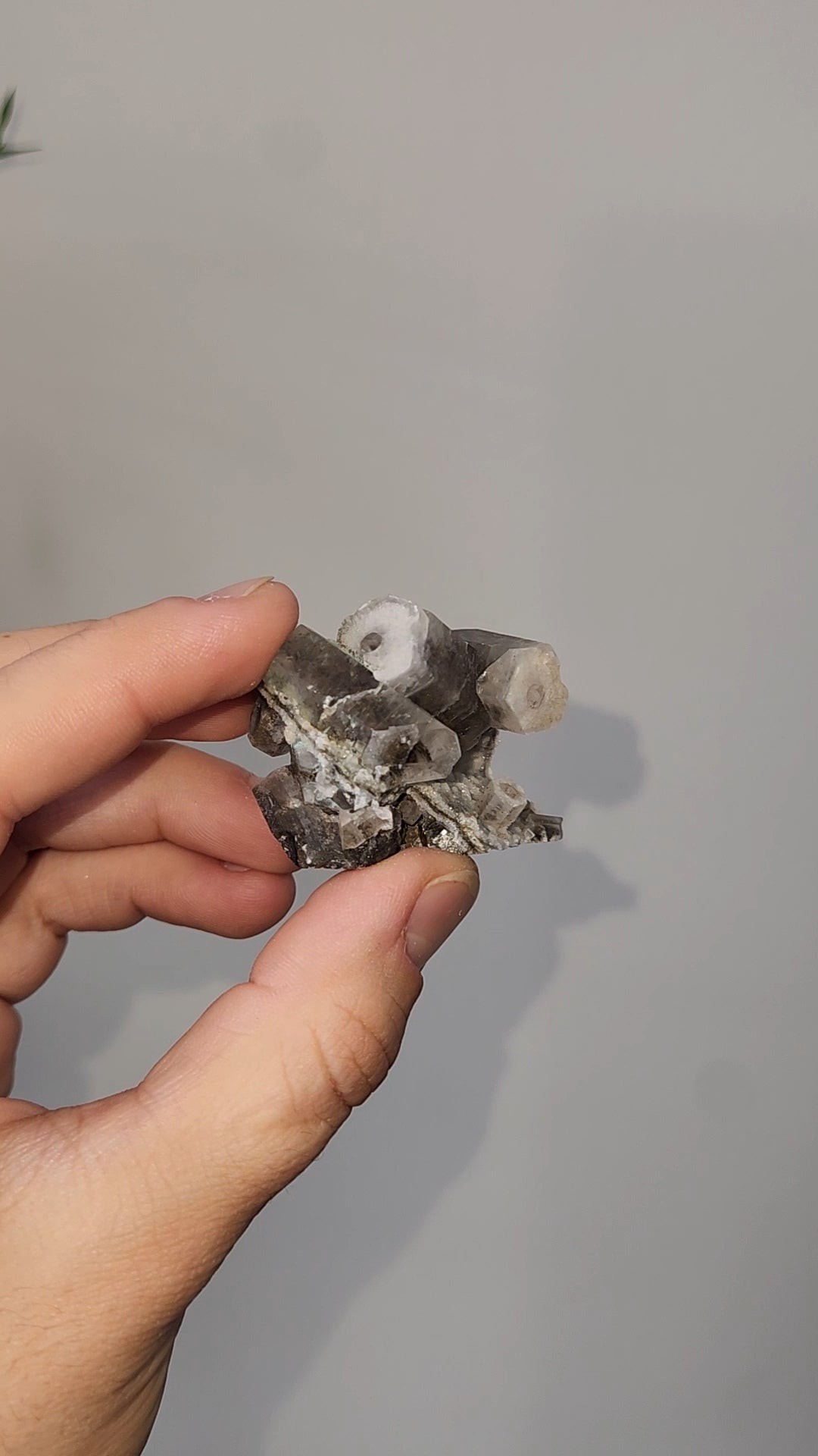 Panda Calcite A