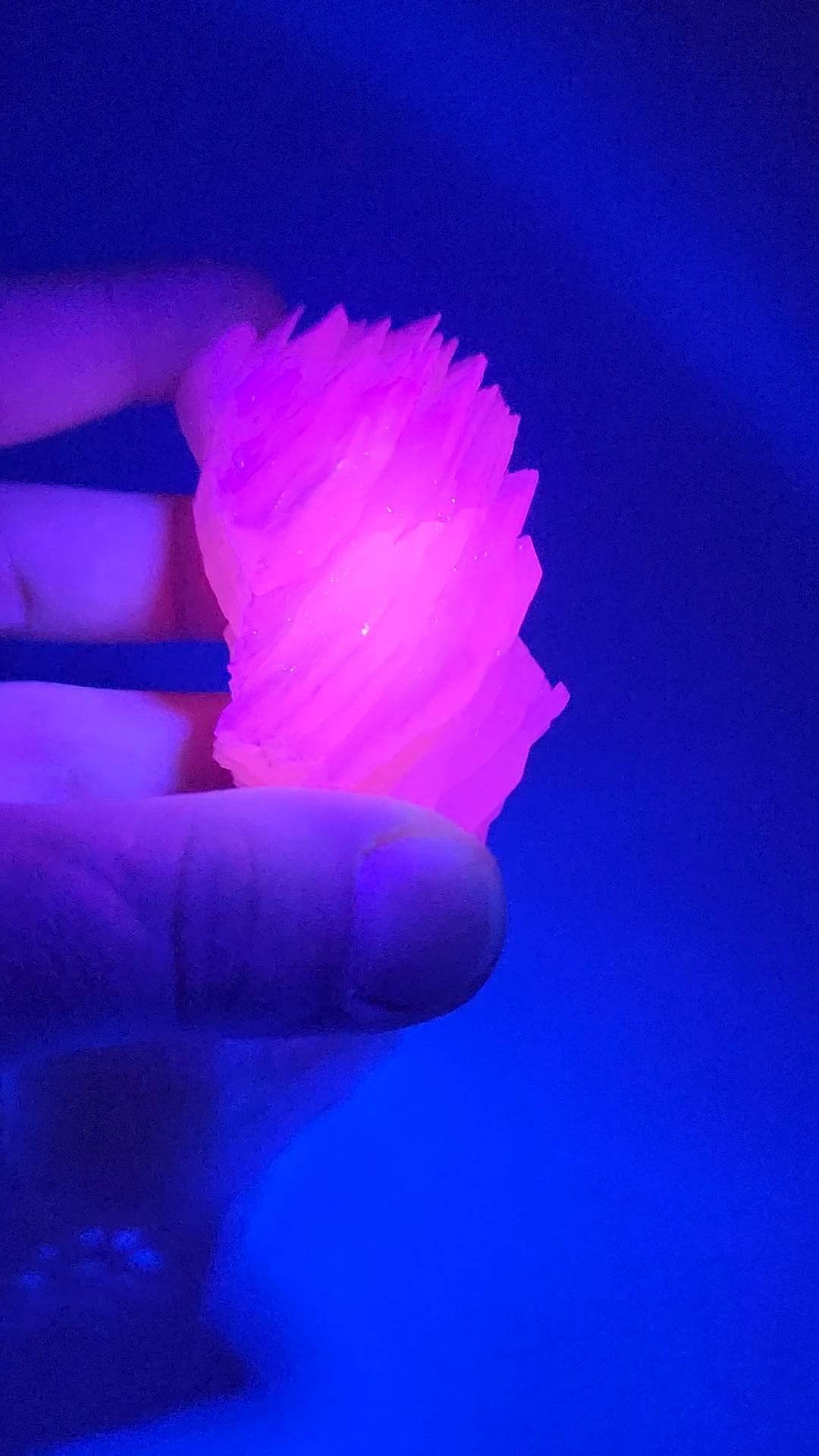 UV Reactive Pink Calcite