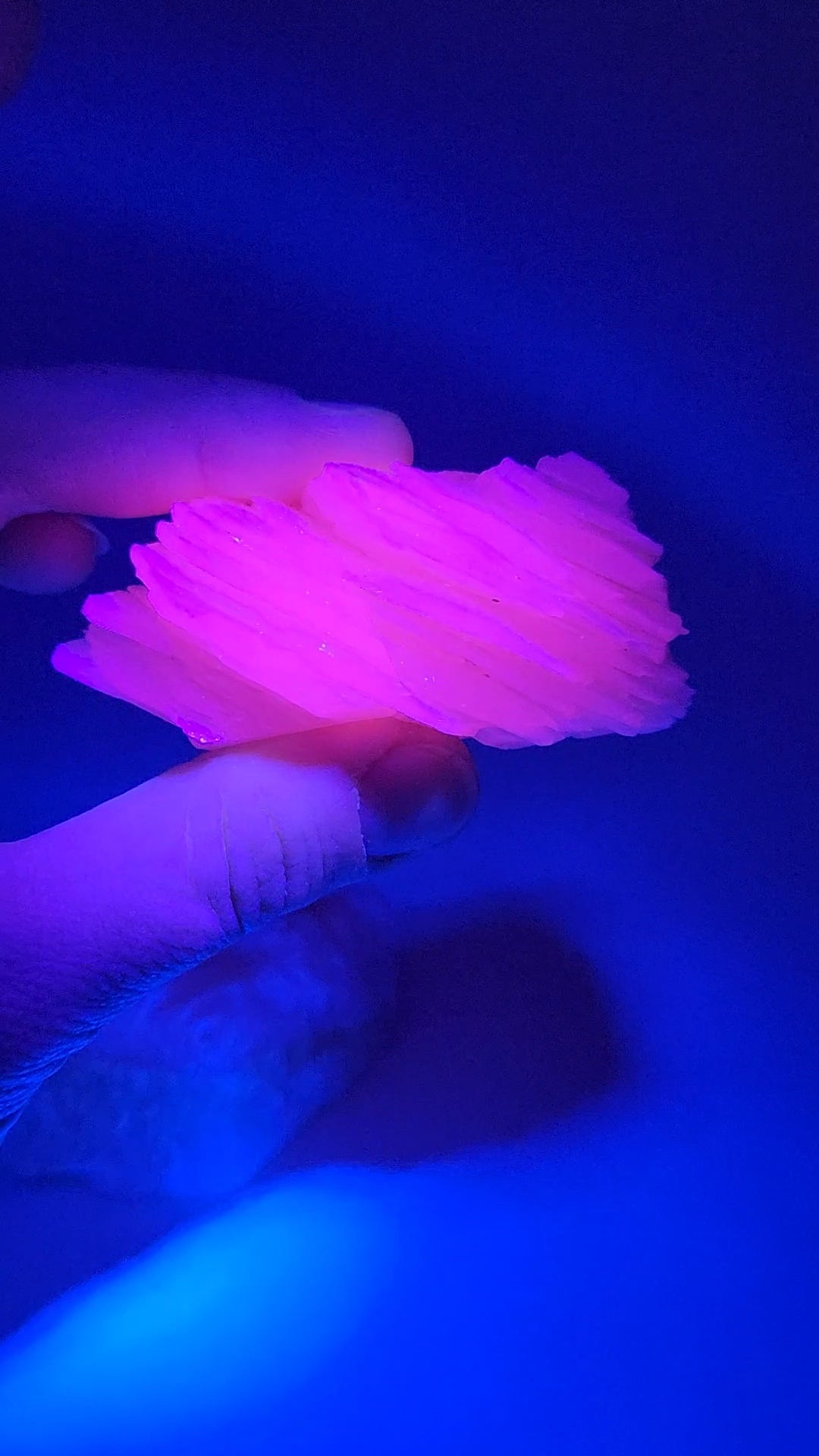 UV Reactive Pink Calcite