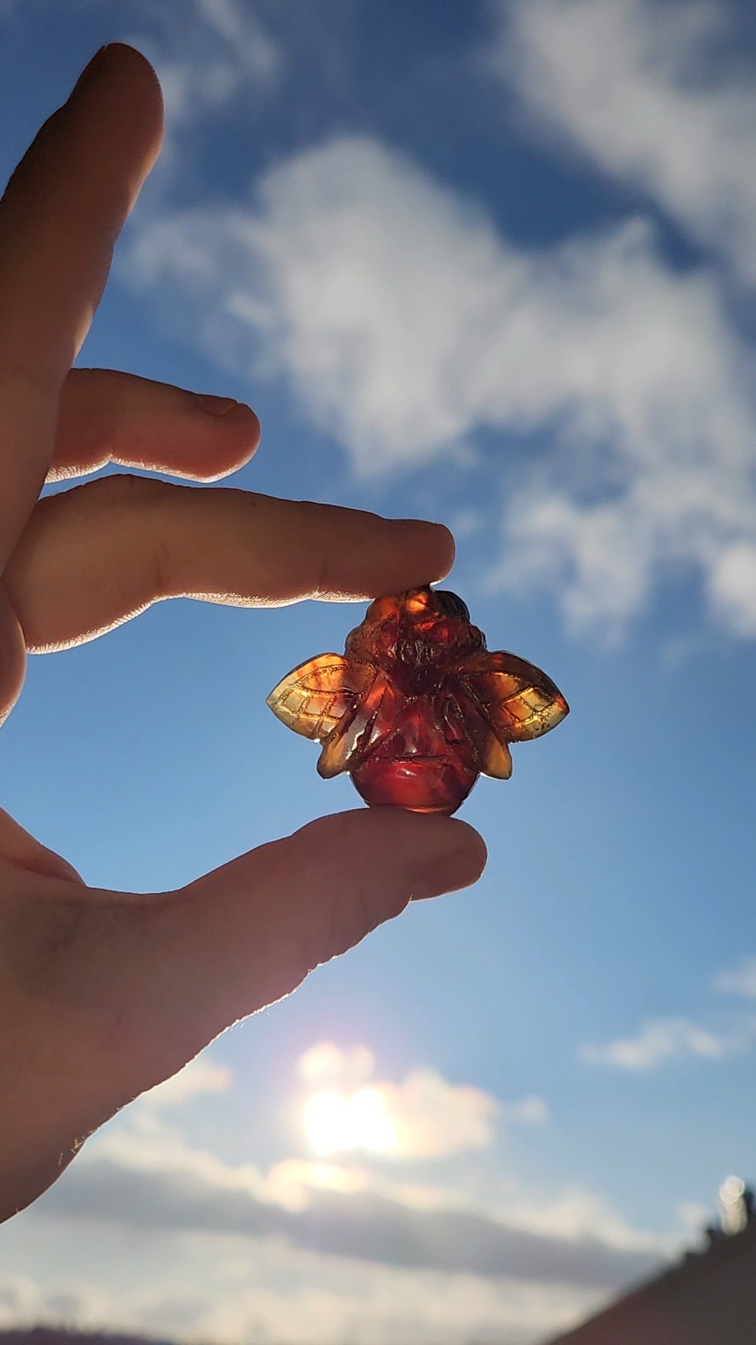 Amber Bee Carving