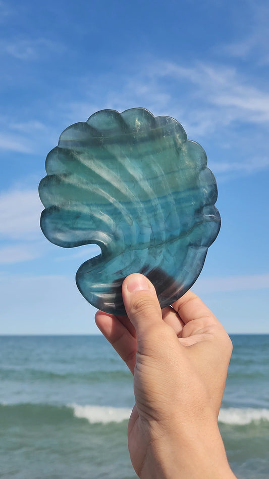 Fluorite Shell Dish