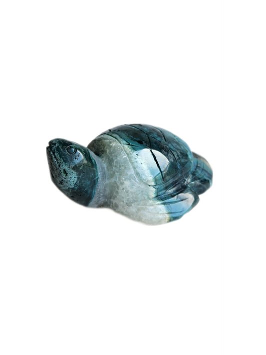 Ocean Jasper Turtle